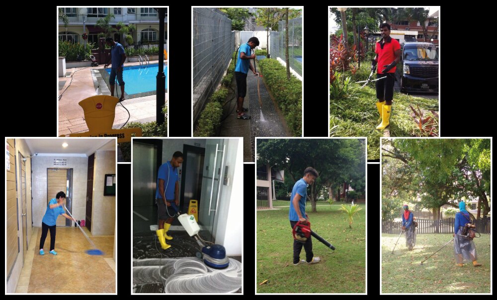 Cleaning Services